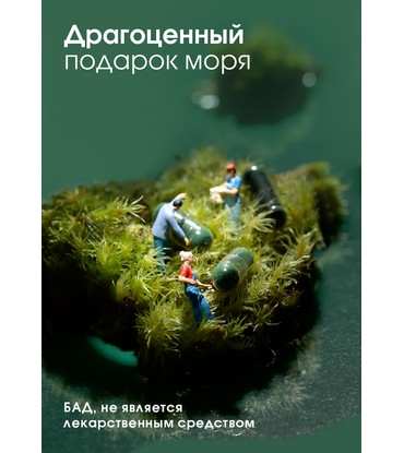 БАД к пище «СПИРУЛИНА В КАПСУЛАХ «ТЯНЬШИ»